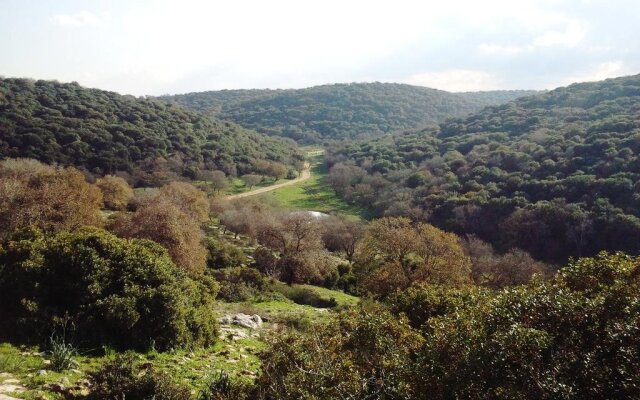 Galilee Bedouin Camplodge