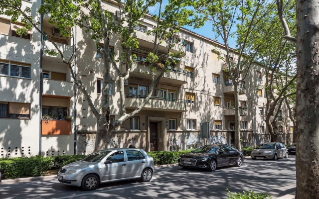 Apartman Mladen