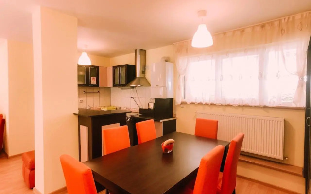 Spacious Apartment near Peles