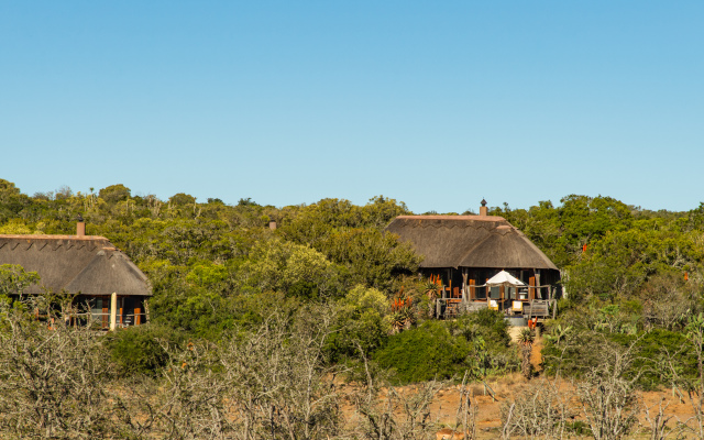 Pumba Private Game Reserve