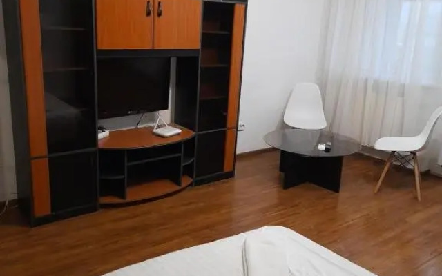 Bega Circumvalatiunii 1 Room Apartment - 3