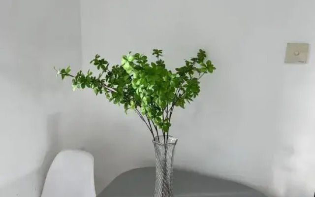 Suwu Youdianjing Apartment (Zhengzhongfeng Linji Center Shop)