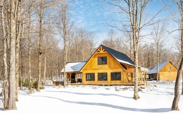 Escape to Wisp Mountain