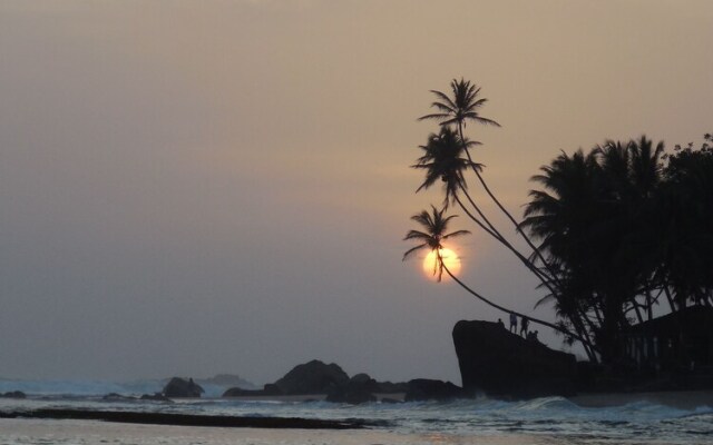 Coconut Treehouse