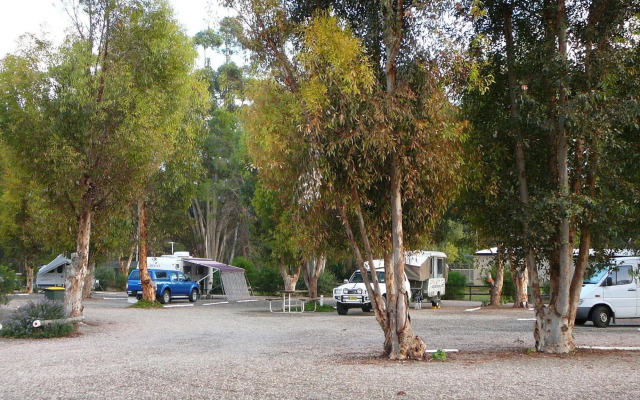 Gladstone Caravan Park - South Australia