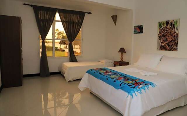 Ivory Ocean view