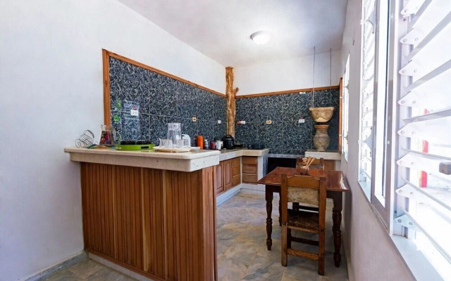 Jardin Benjamin TRINIDAD