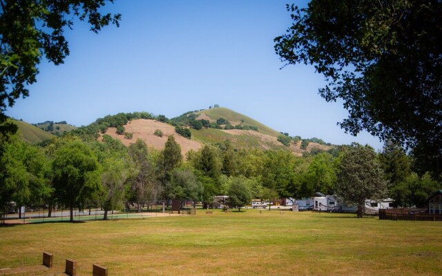 Morgan Hill RV Resort - Campsite