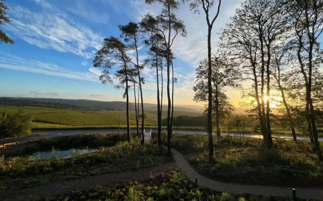 Loisium Wine & Spa Hotel Champagne