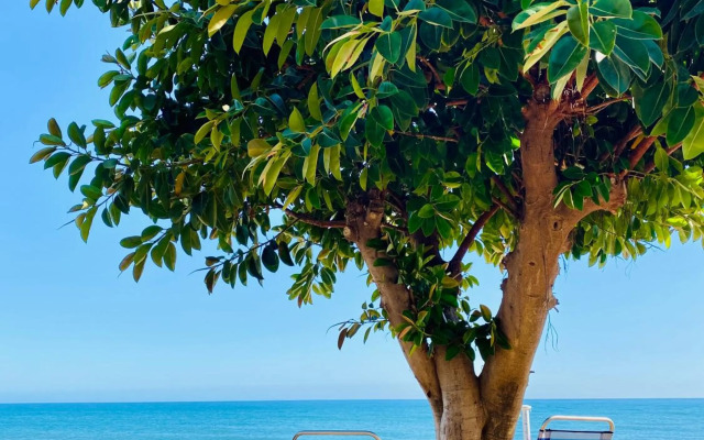 First Line Torrox Costa