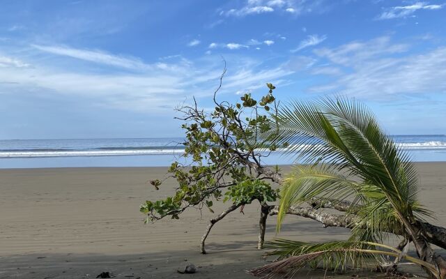 Uvita Oasis Retreat with Villa Cabins and Apartment