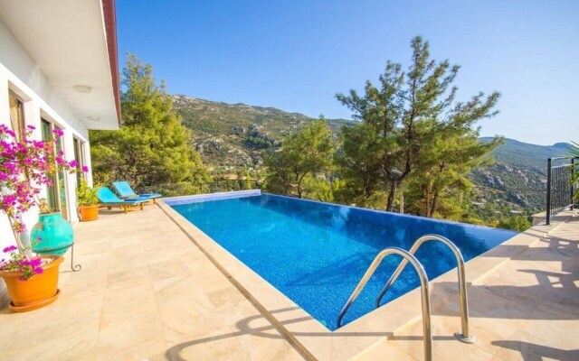 Villa Ella