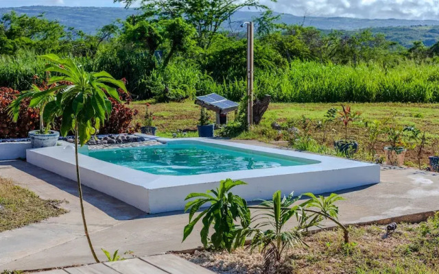 Cashaw Cabin - Private Retreat With a Pool