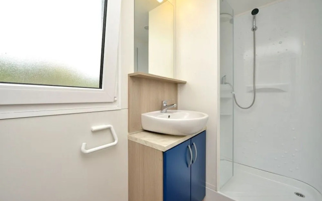 Iva - Great Garden - H