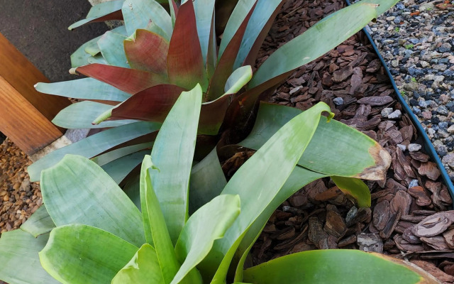 Rei dos Mares Suítes