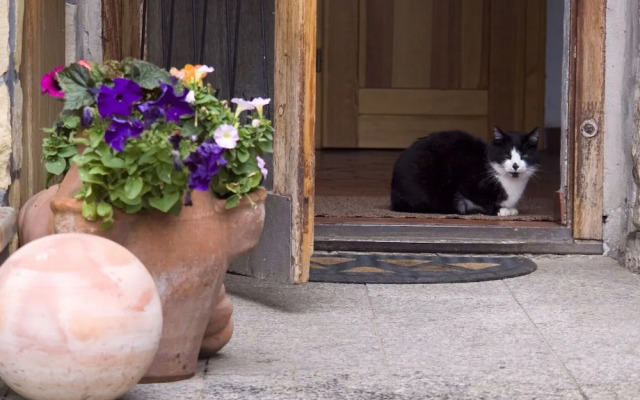 Quaint Farmhouse in Langenbach near Lake