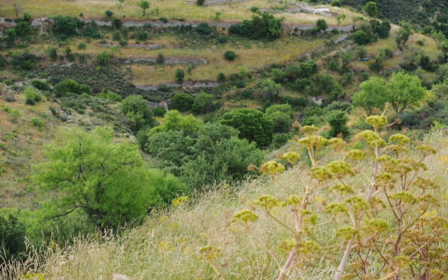 Serenity Boutique House