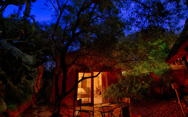 Last Word Madikwe
