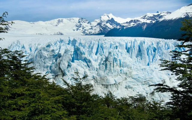 Sent Calafate