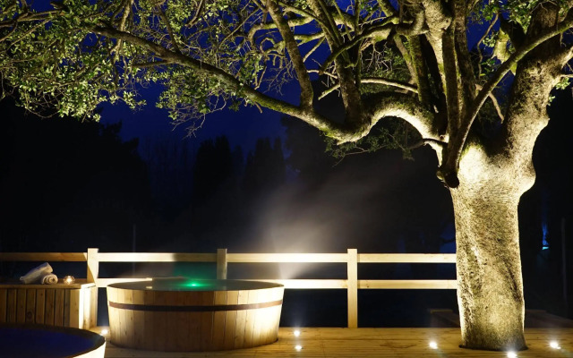 Hotel Pucon Green Park