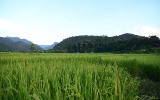 Phu Fha Maehongson Resort