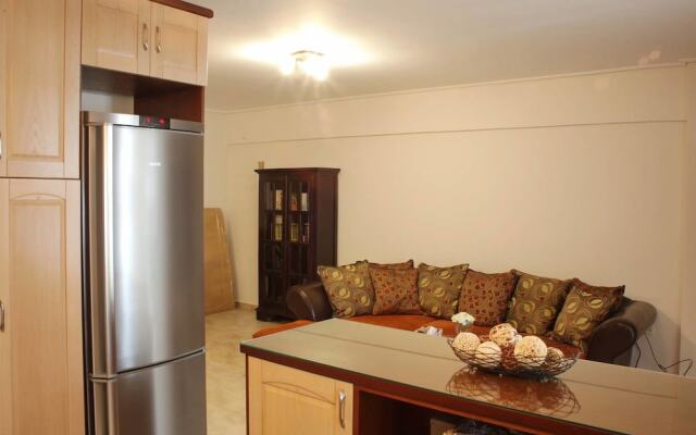 Spacious Family Apt in Sepolia Athens