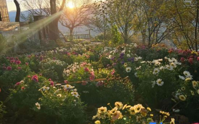 Jianchuan  Shaxi Feng mian · Tong chuan Homestay