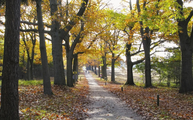Vakantiepark De Lindenberg