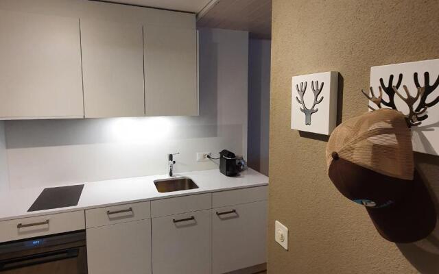 Zentrum Lai 176 Hm Whg 103 Steibogg