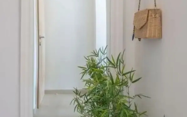 Amazing Apartment in Trogir