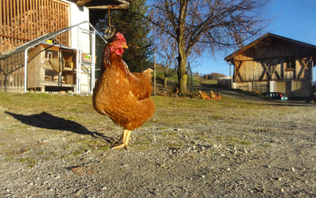 Mair am Graben Farm * Chalets