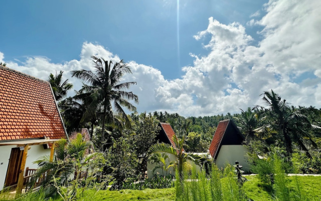 Green Coco Suite