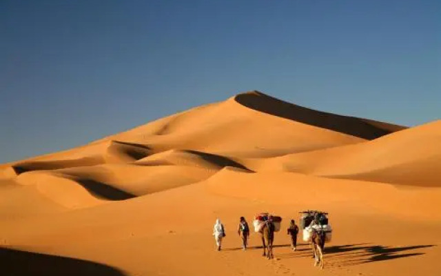 Bivouac Maroc Désert Zagora