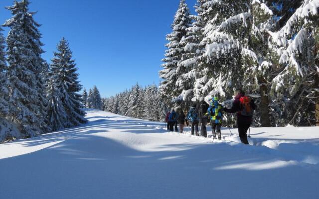 Schöne EinZimmer Wohnung Zwischen Bodensee und Allgäu