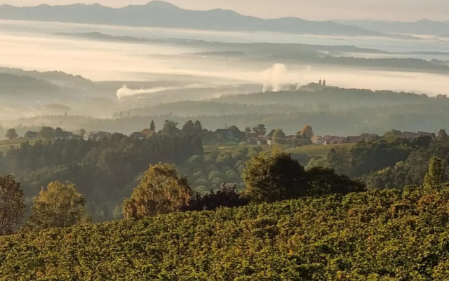 Weinstöckl Hochgrail pures sein