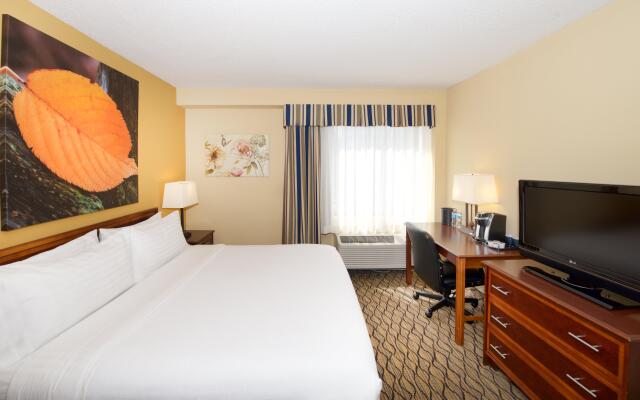 Holiday Inn & Suites Chicago - Downtown, an IHG Hotel