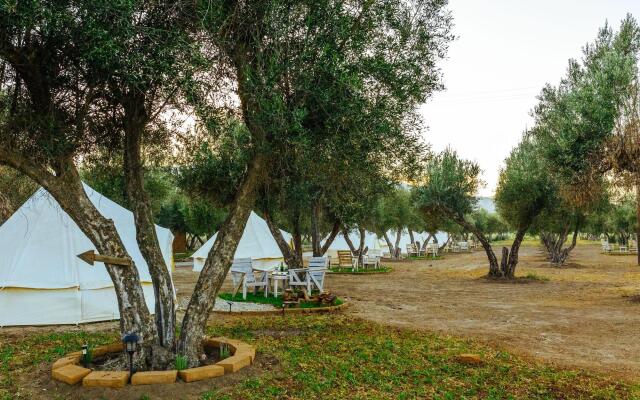 Guadalupe Valle Glamping