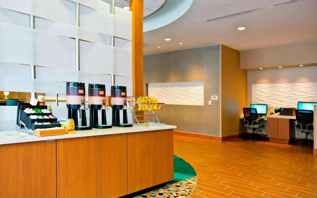 Springhill Suites by Marriott Pittsburgh Mt. Lebanon
