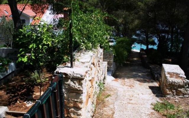 Apartments Brac Osibova