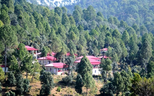 Majkhali woods, Ranikhet, by Himalayan Eco Lodges