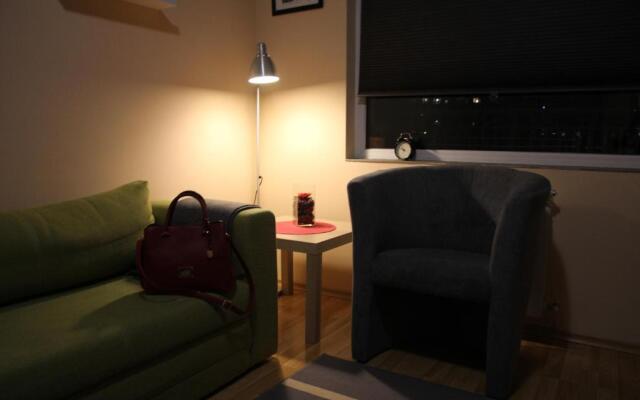 Apartment 132