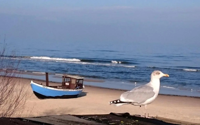 Ferienwohnung Froehling - 90 m zum Strand