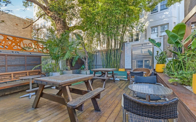 London Plane Backpackers - Hostel