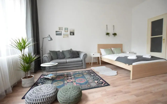 Standard Apartment by Hi5 - Fejer Gyorgy St