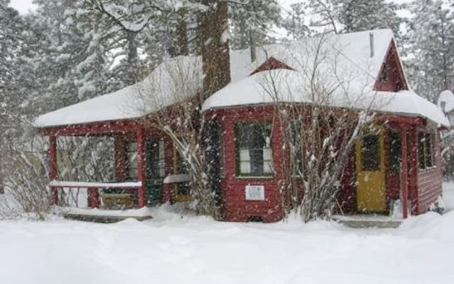 A Sweet Pine Cabin -  3Br/1BA/WiFi/Roku/Netflix