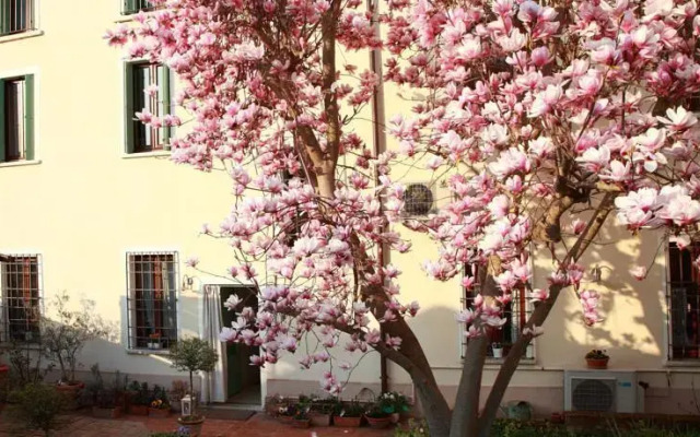 B&B La Magnolia
