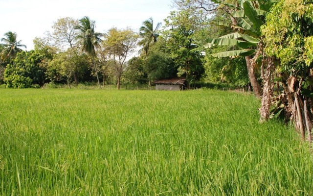 Kuda Oya Cottage