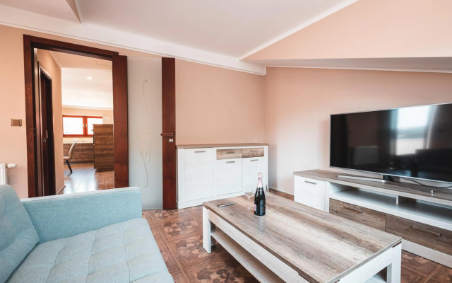 POINT flat, beautiful view from terrace to Prague Castle