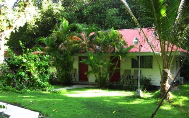 Pacific Treelodge Resort