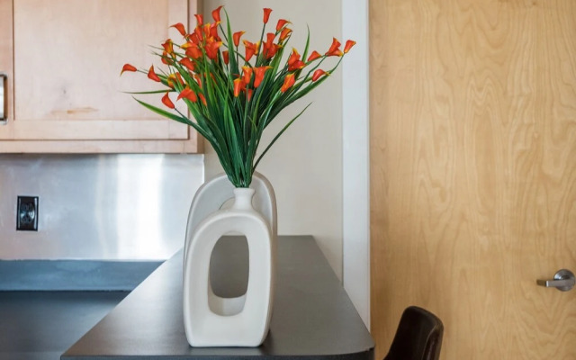 Large Open Apartments Near Ballpark Village